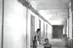 Hist6