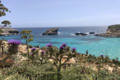 Malta_23_22