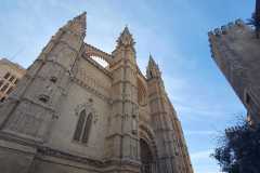 Mallorca_Palma_den01_17