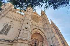 Mallorca_Palma_den01_22