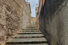 Mallorca_Palma_den23_02