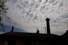 Uklidme_Cesko_2021_16