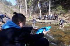 Plac_skala_03
