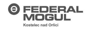 FEDERAL MOGUL