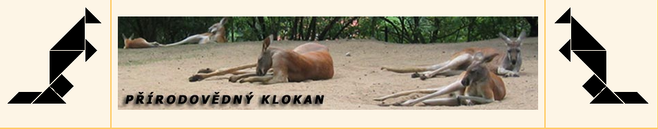 klokan
