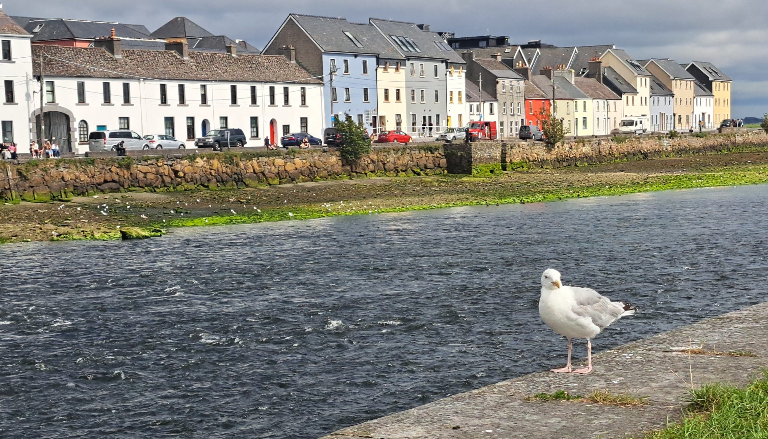 Galway 3